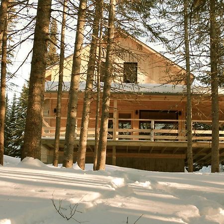 Les Bouleaux - Les Chalets Spa Canada La Malbaie Kültér fotó